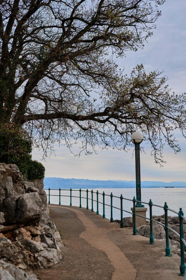 Hotel Villa Schubert Opatija Ngoại thất bức ảnh